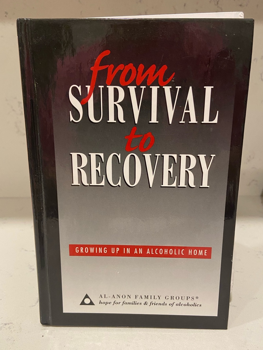 Al‑Anon From Survival to Recovery — Black & Red Cover